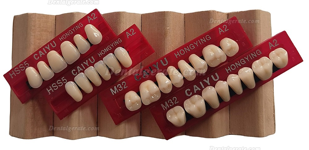 Caiyu Hongying Zahnprothesen aus Dentalharz (Dreischichtfarbe) A1/A2/A3/A3.5/A4
